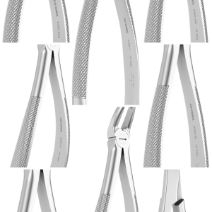 ASA DENTAL (Forcepts)